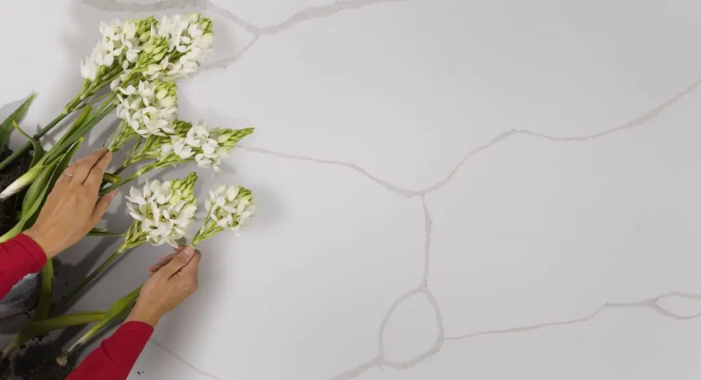 Countertops Bring Christmas Home - stop in and select your favorite countertops at French Creek Designs Countertop Department.