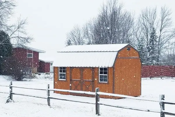 Sheds Sales Discounted