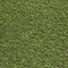 Shop Trendy Turf Evergrass Artificial Turf at French Creek Designs in Casper, WY