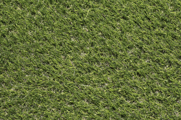 Shop Trendy Turf Evergrass Artificial Turf at French Creek Designs in Casper, WY
