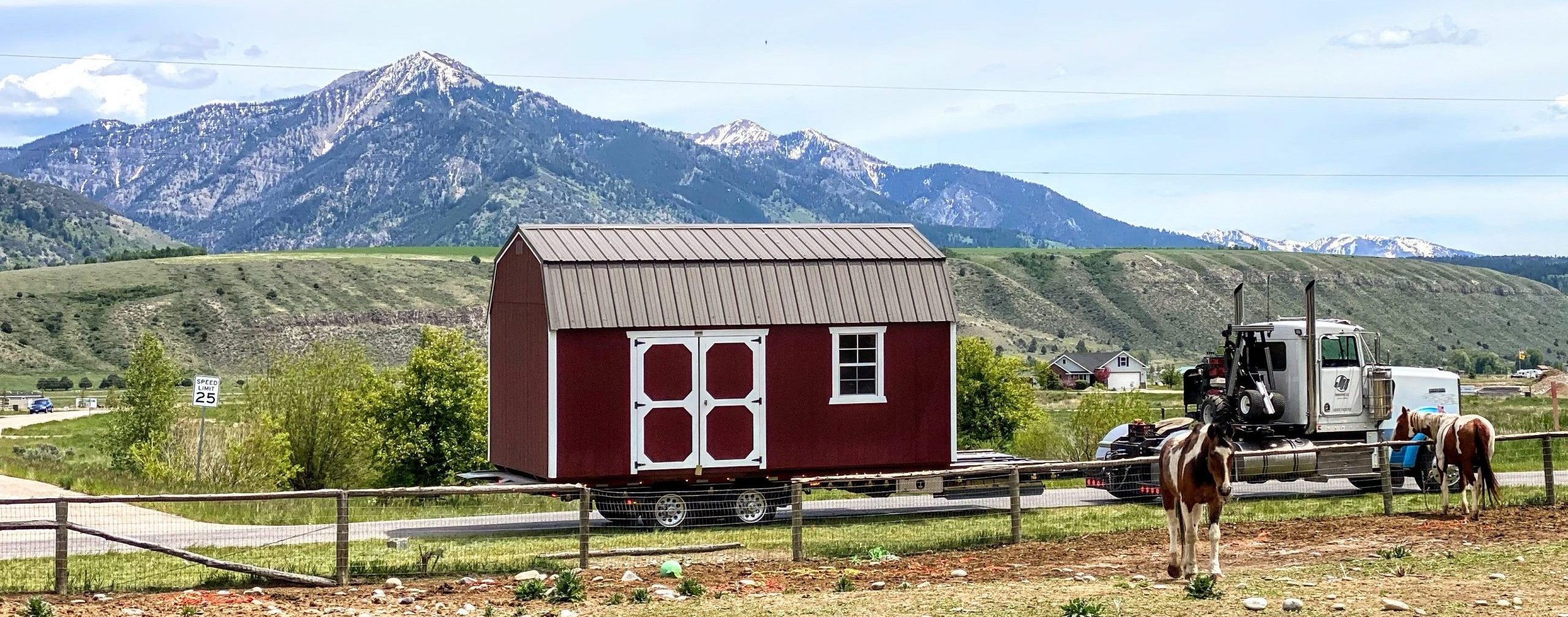 Sheds Sales Discounted