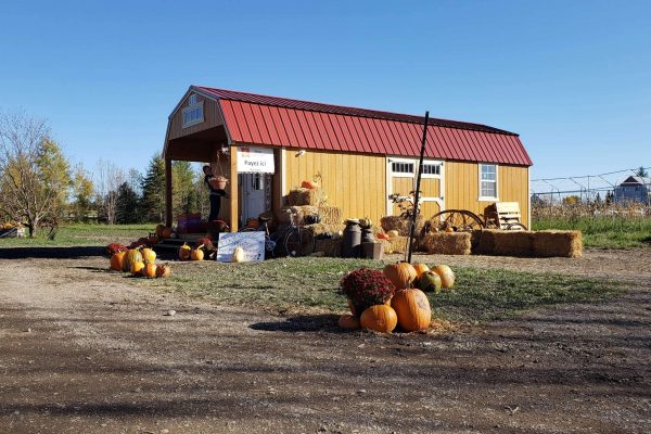 Lofted_Playhouse_EndUse_HoneyGoldSiding_RusticRedRoof_2021_4