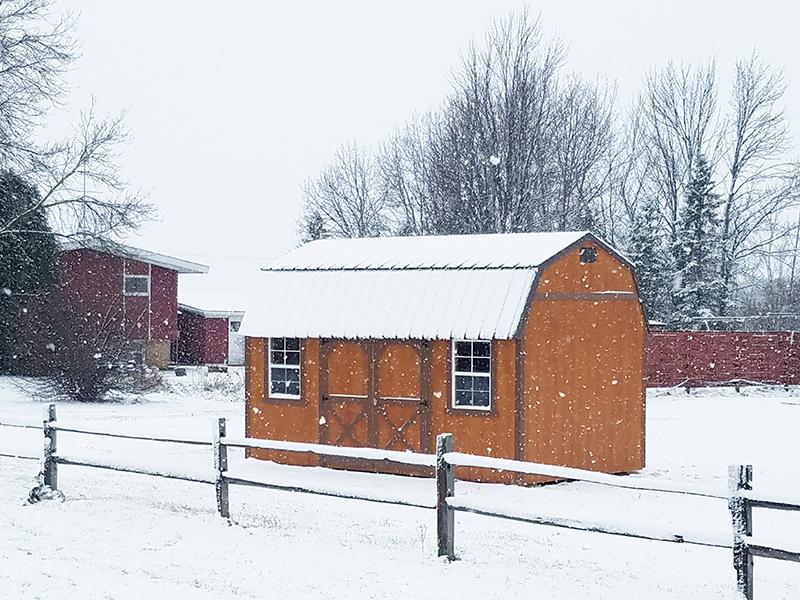 Sheds Sales Discounted